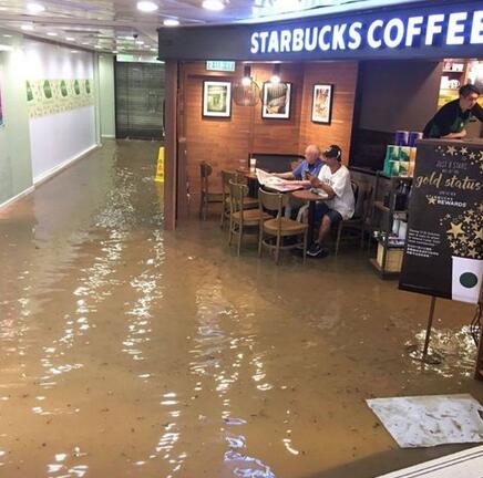 “海馬”造成的傷害